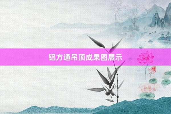 铝方通吊顶成果图展示
